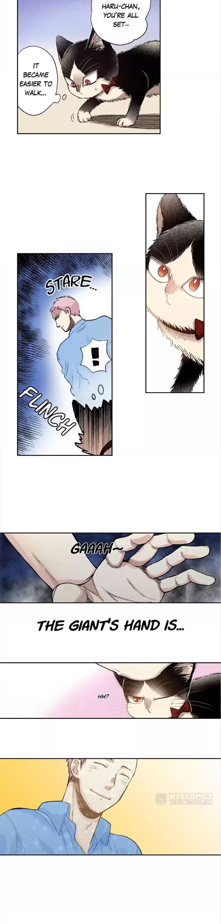 Page 8 of Chapter 31