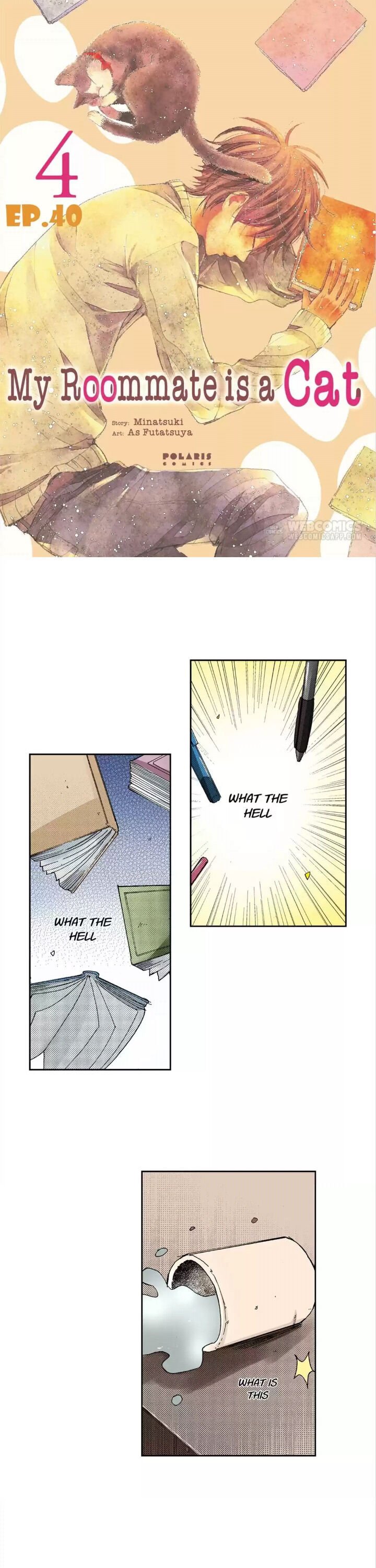 Page 1 of Chapter 40