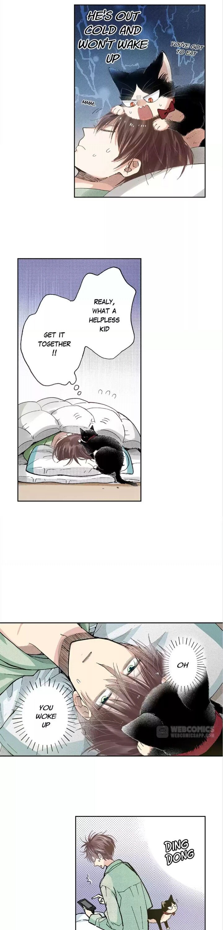 Page 3 of Chapter 43