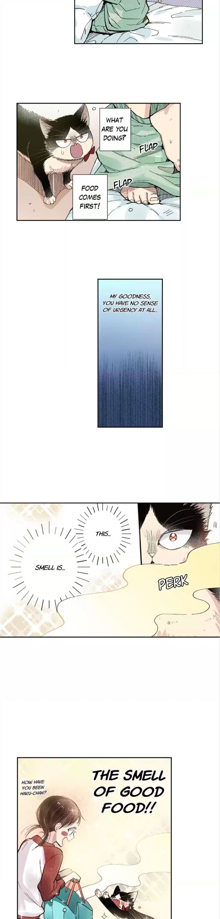 Page 4 of Chapter 43