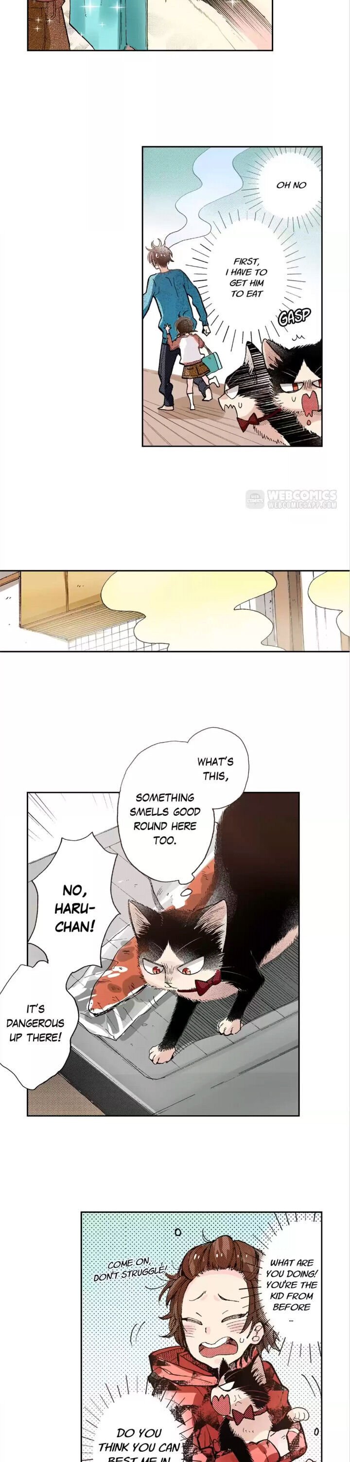 Page 5 of Chapter 43