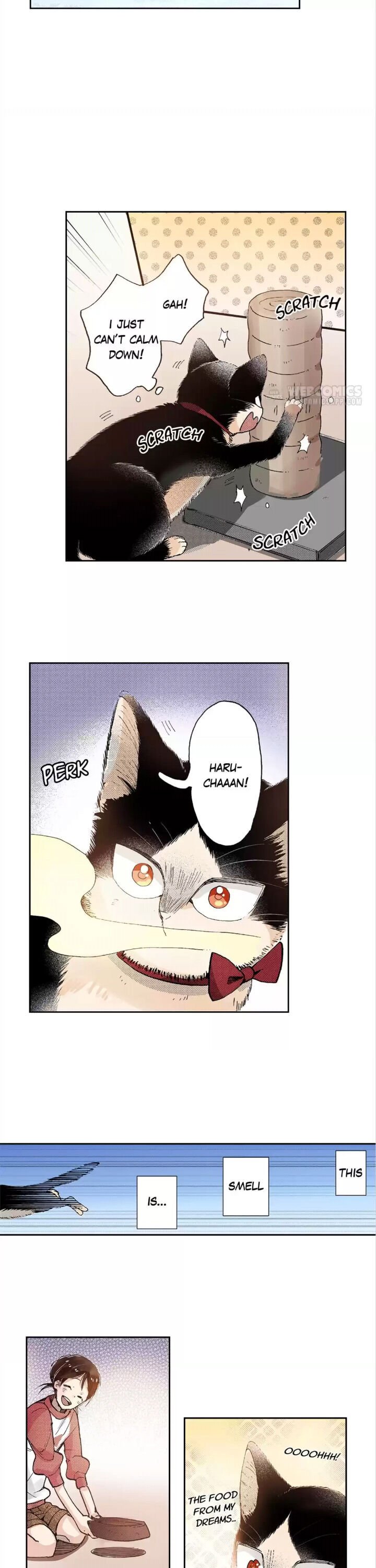 Page 8 of Chapter 43
