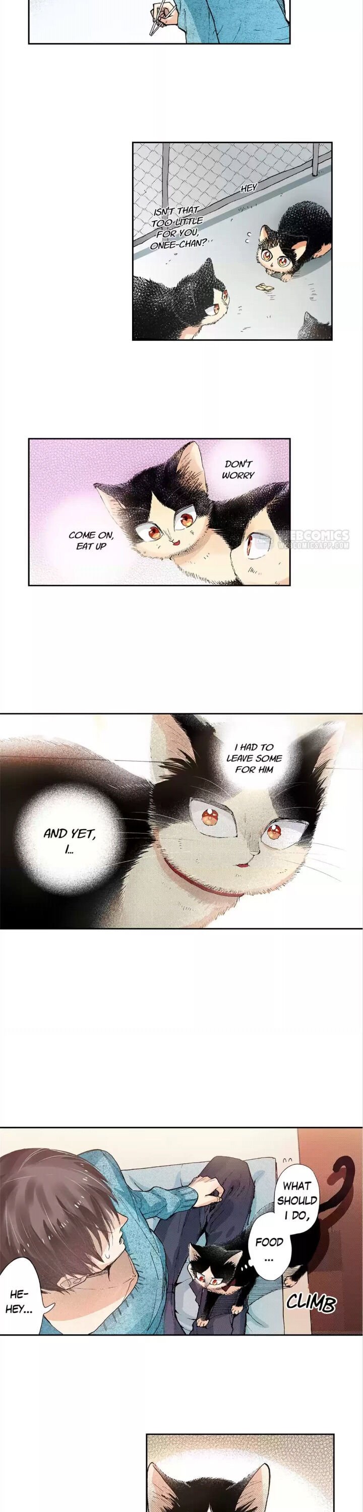 Page 11 of Chapter 43
