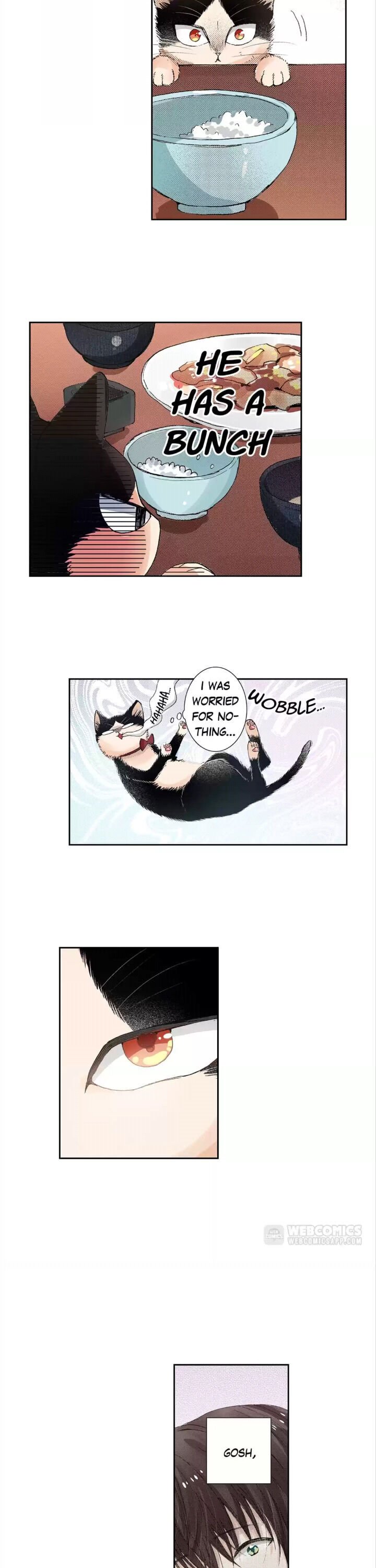 Page 12 of Chapter 43