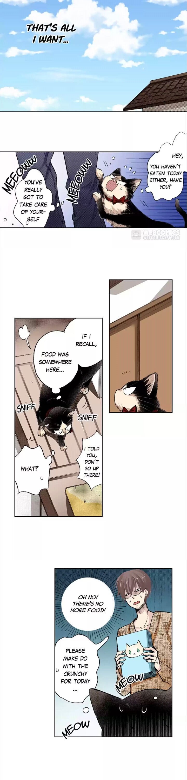 Page 14 of Chapter 43