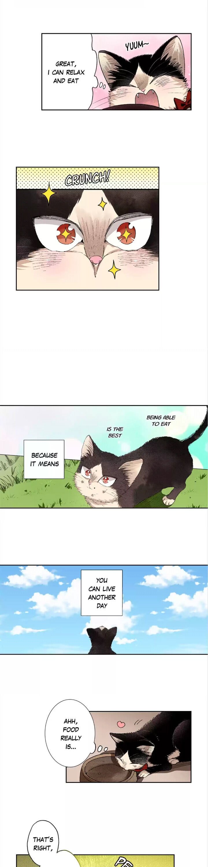 Page 16 of Chapter 43