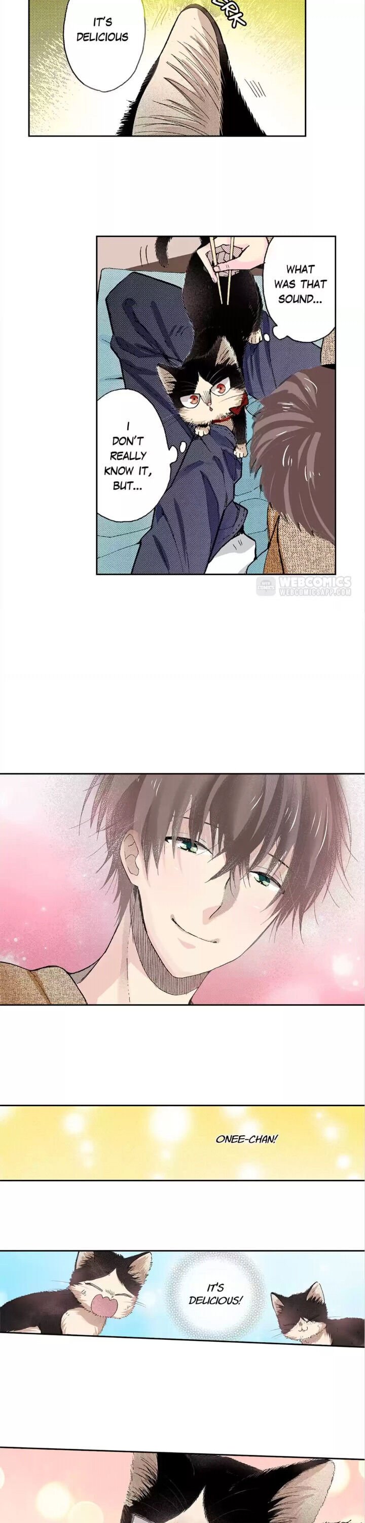Page 17 of Chapter 43