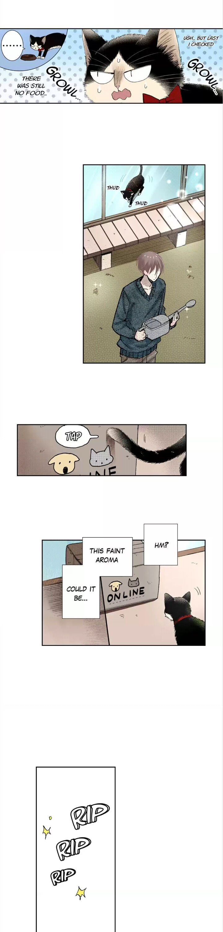 Page 4 of Chapter 46