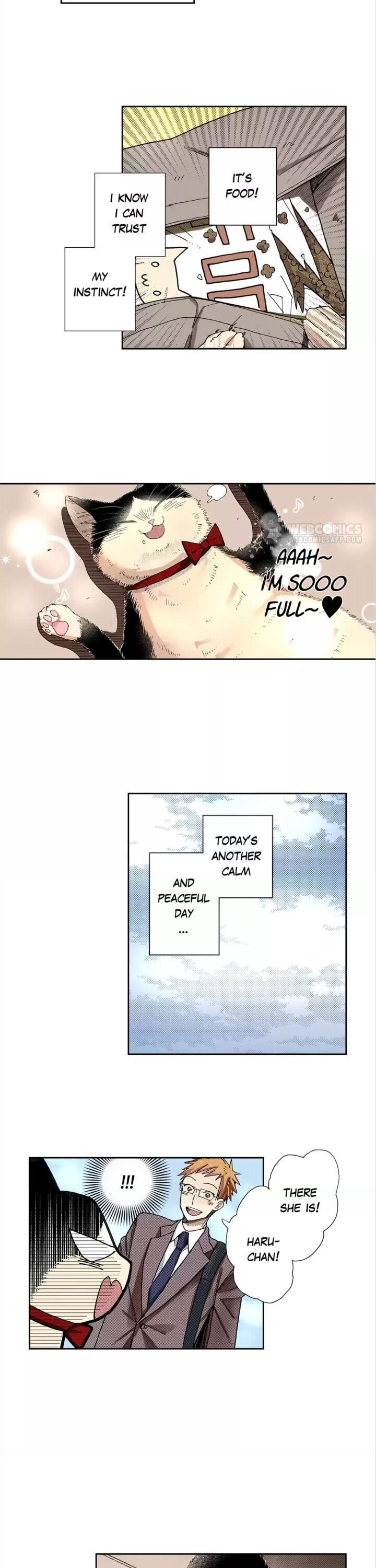 Page 5 of Chapter 46