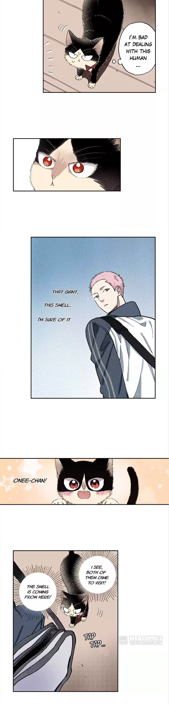 Page 6 of Chapter 46