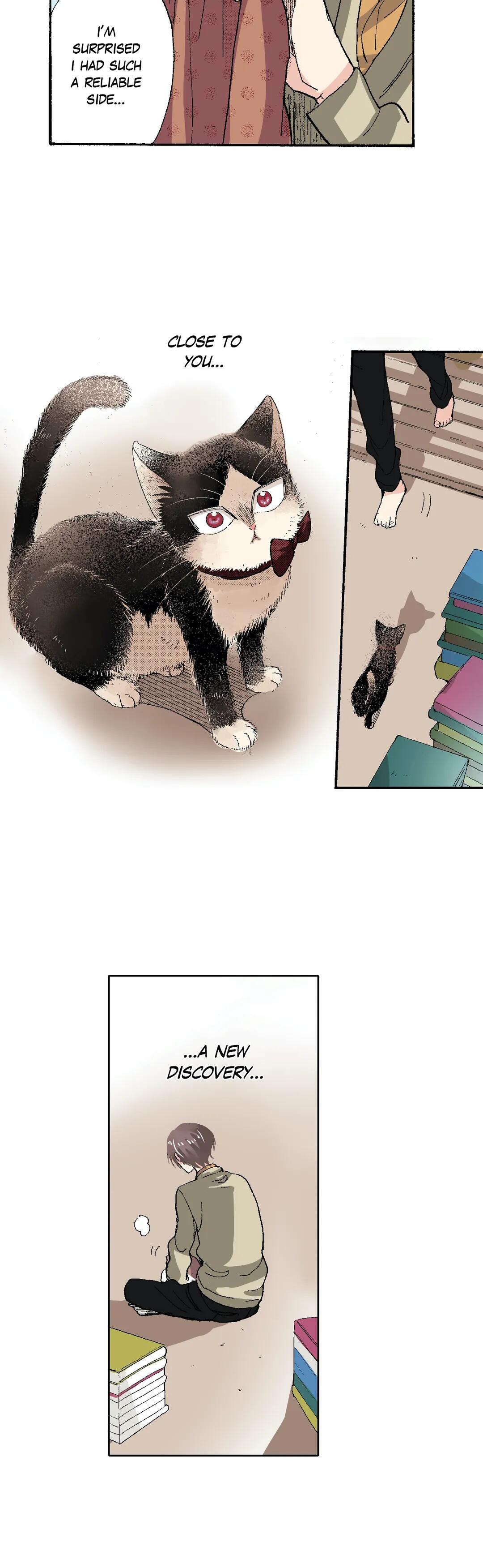 Page 33 of Chapter 48