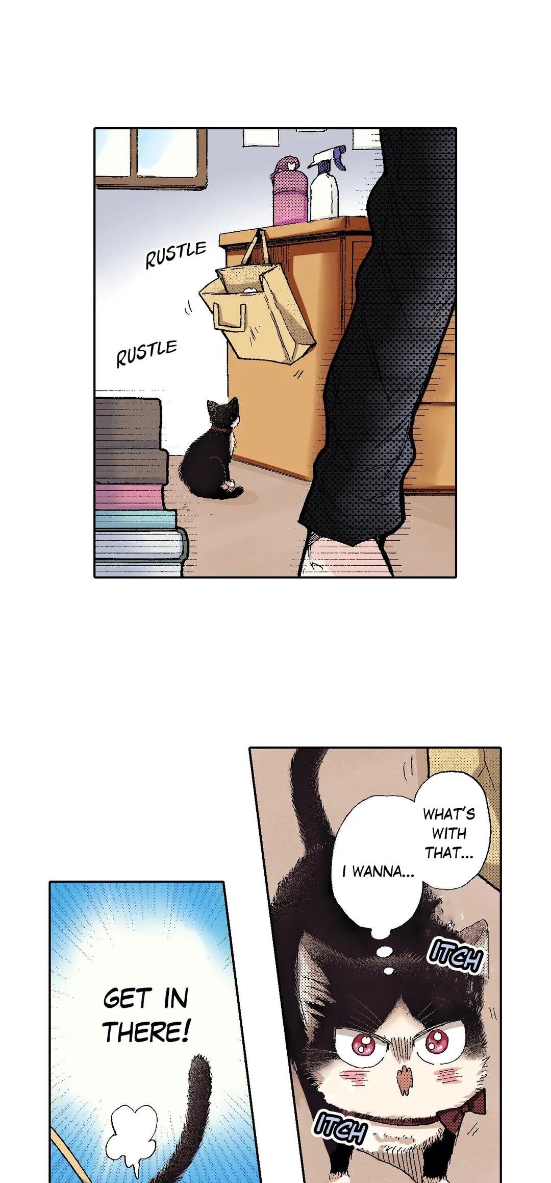 Page 4 of Chapter 49