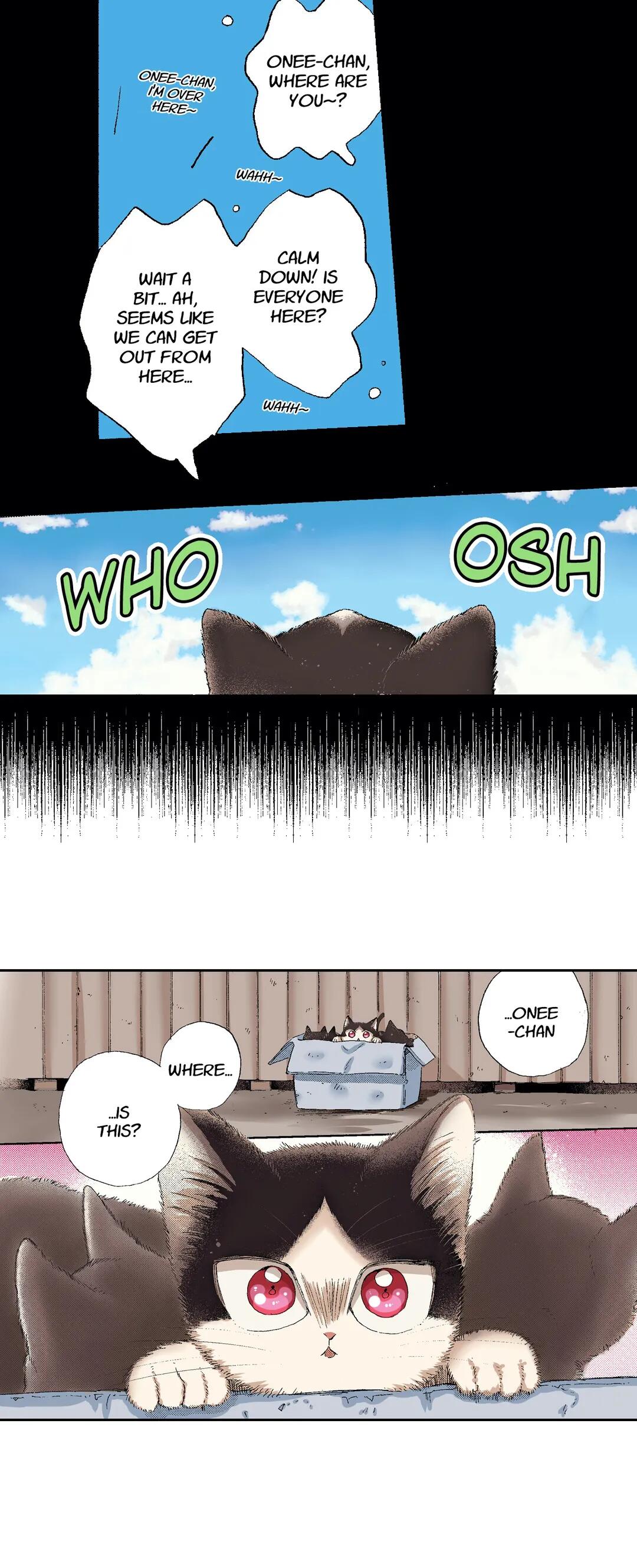 Page 9 of Chapter 49