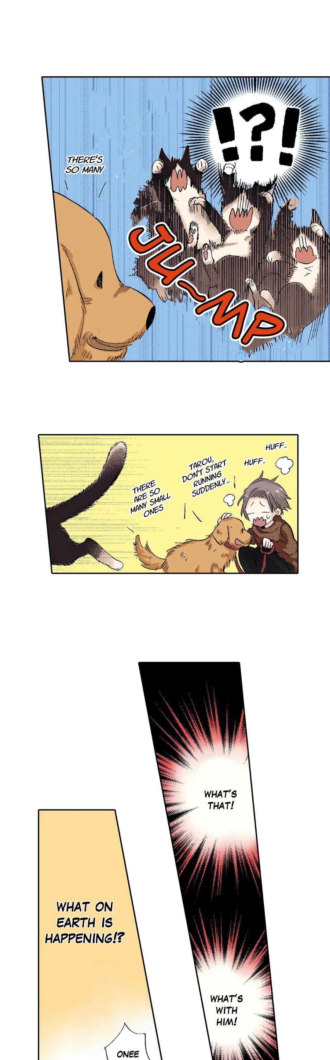 Page 12 of Chapter 49
