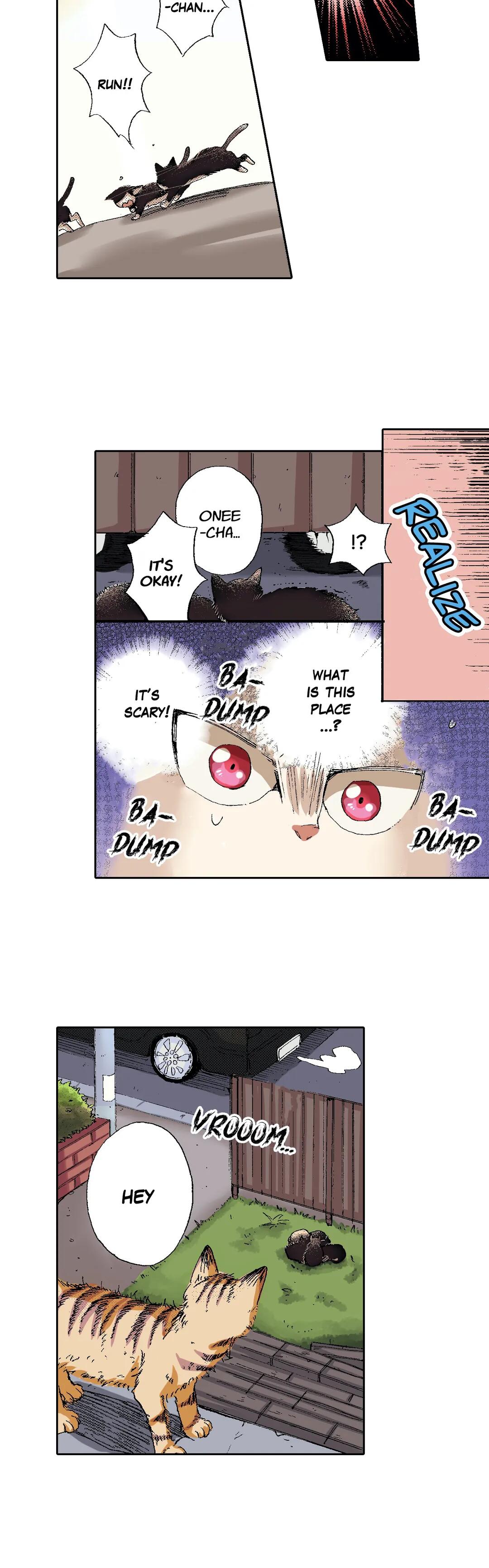 Page 13 of Chapter 49