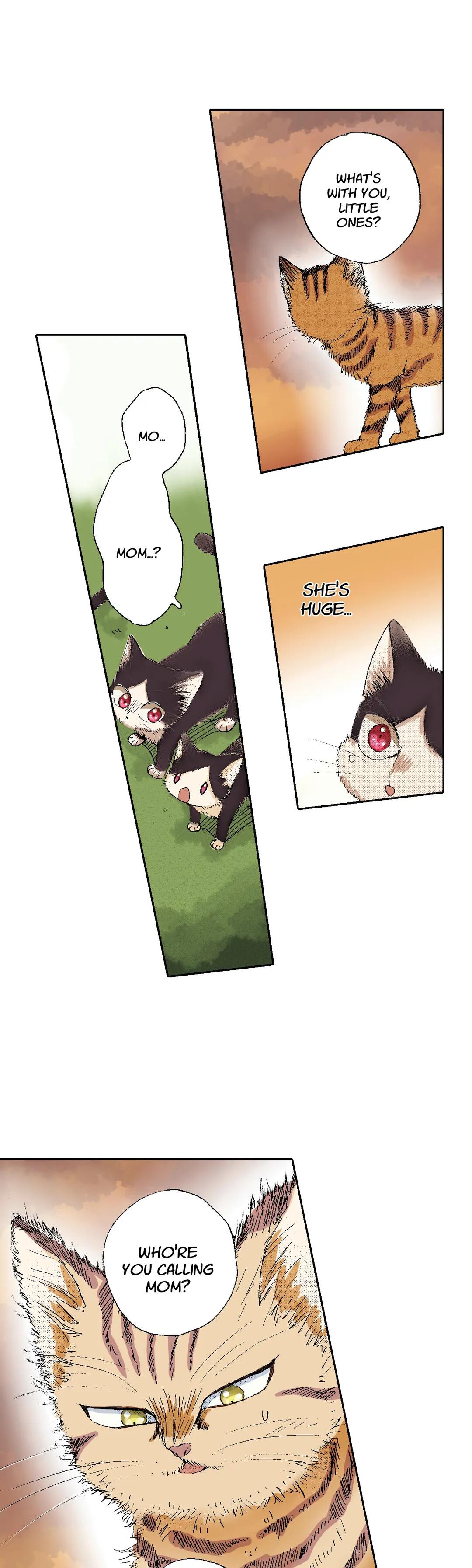 Page 14 of Chapter 49