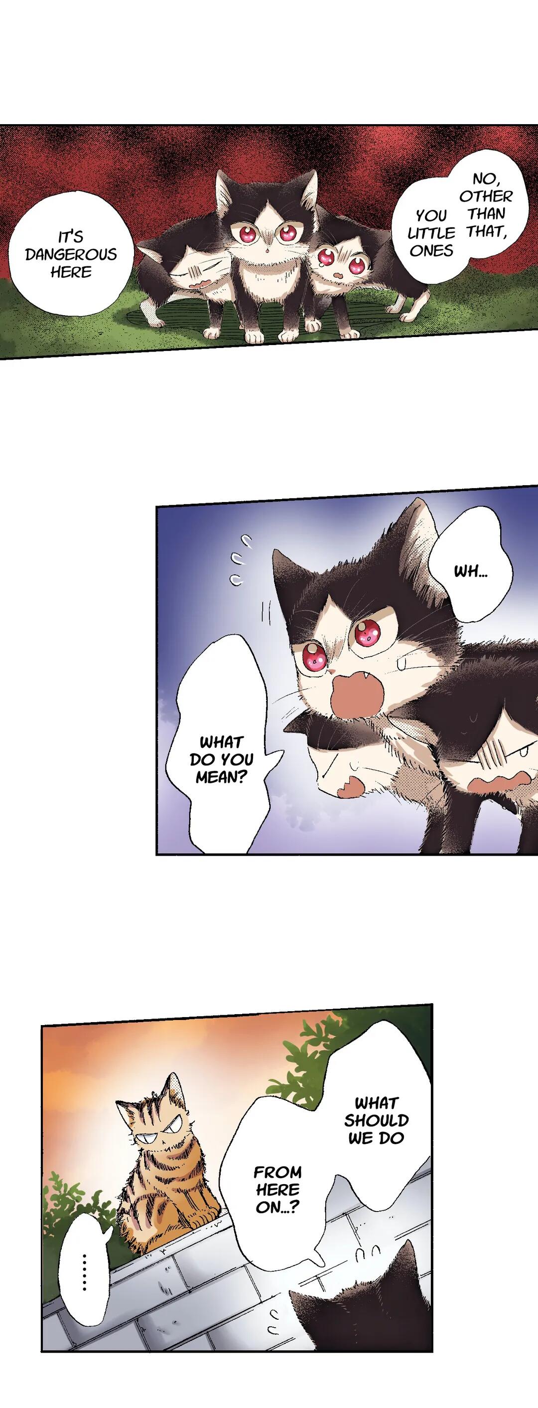 Page 16 of Chapter 49