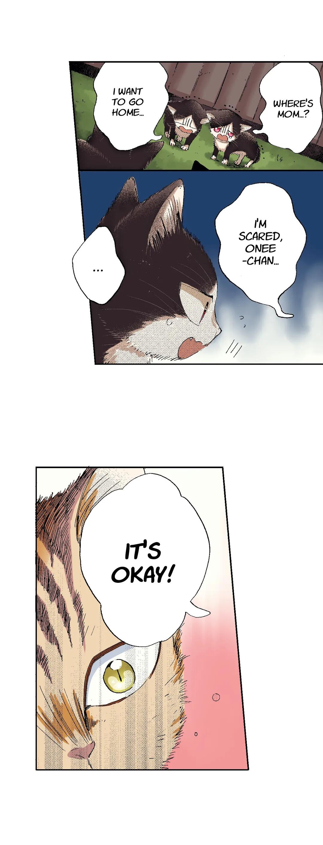 Page 17 of Chapter 49