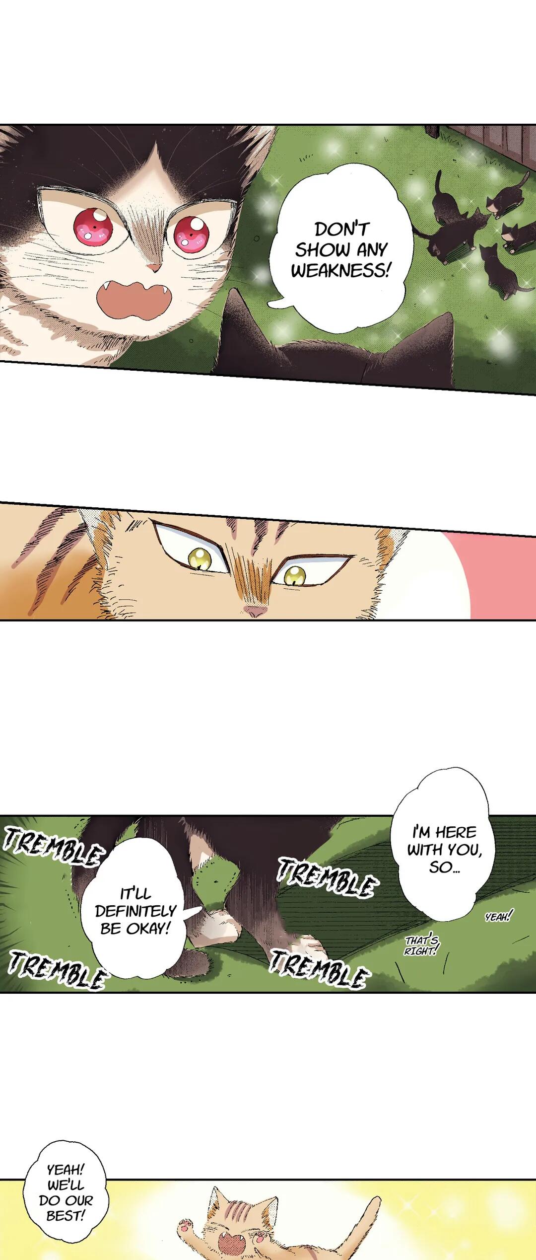 Page 18 of Chapter 49