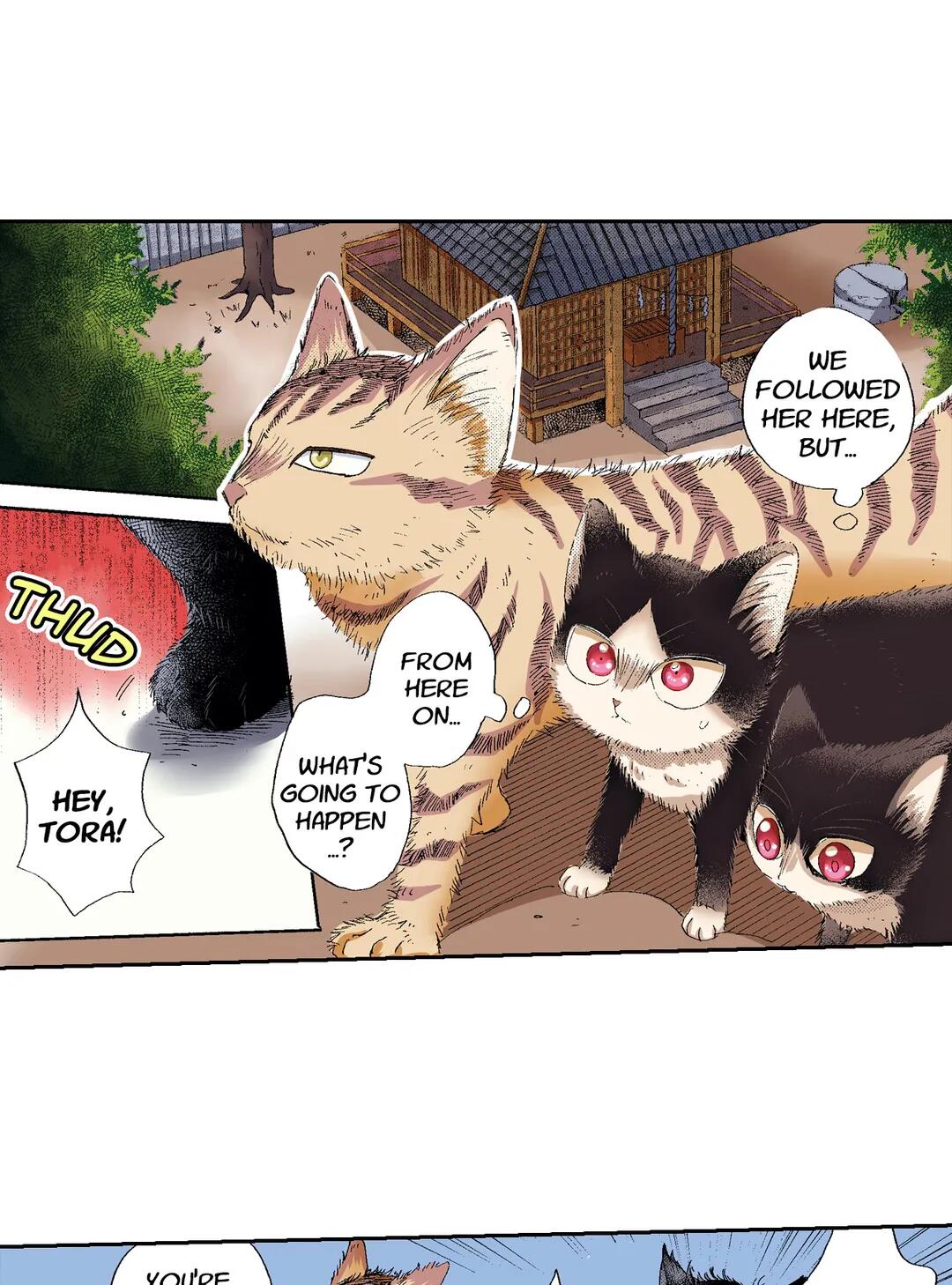 Page 20 of Chapter 49