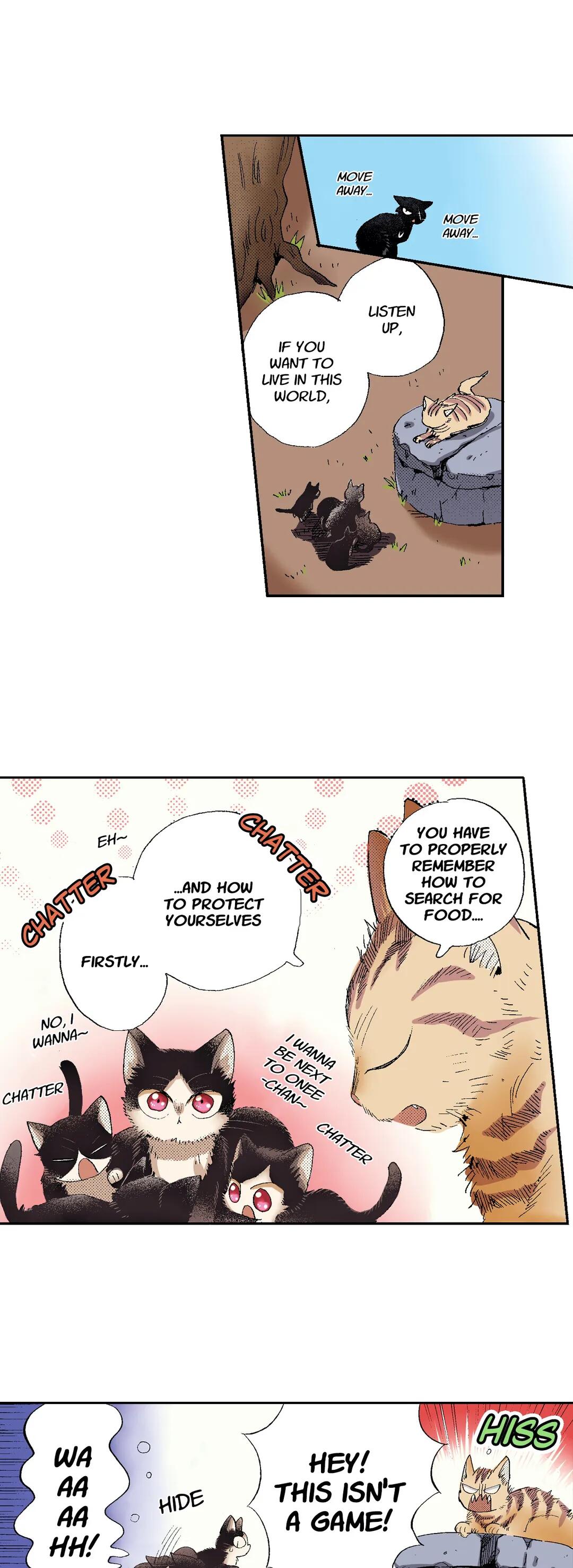 Page 22 of Chapter 49