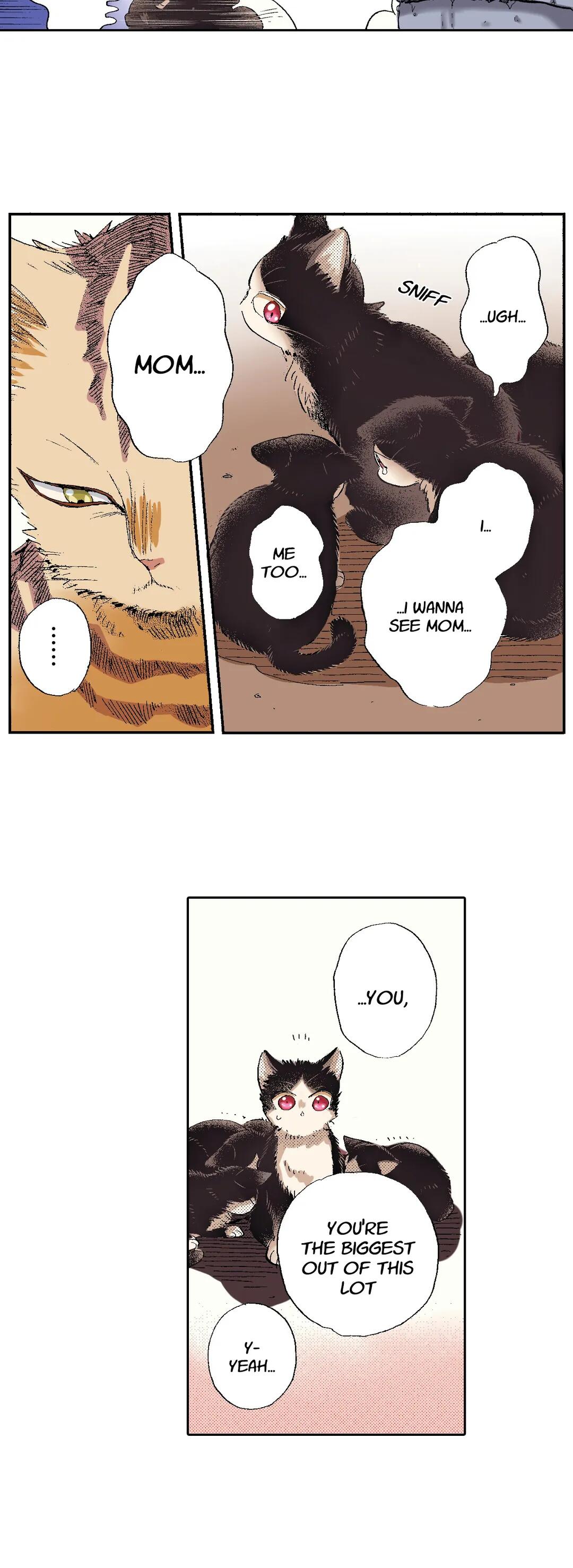Page 23 of Chapter 49