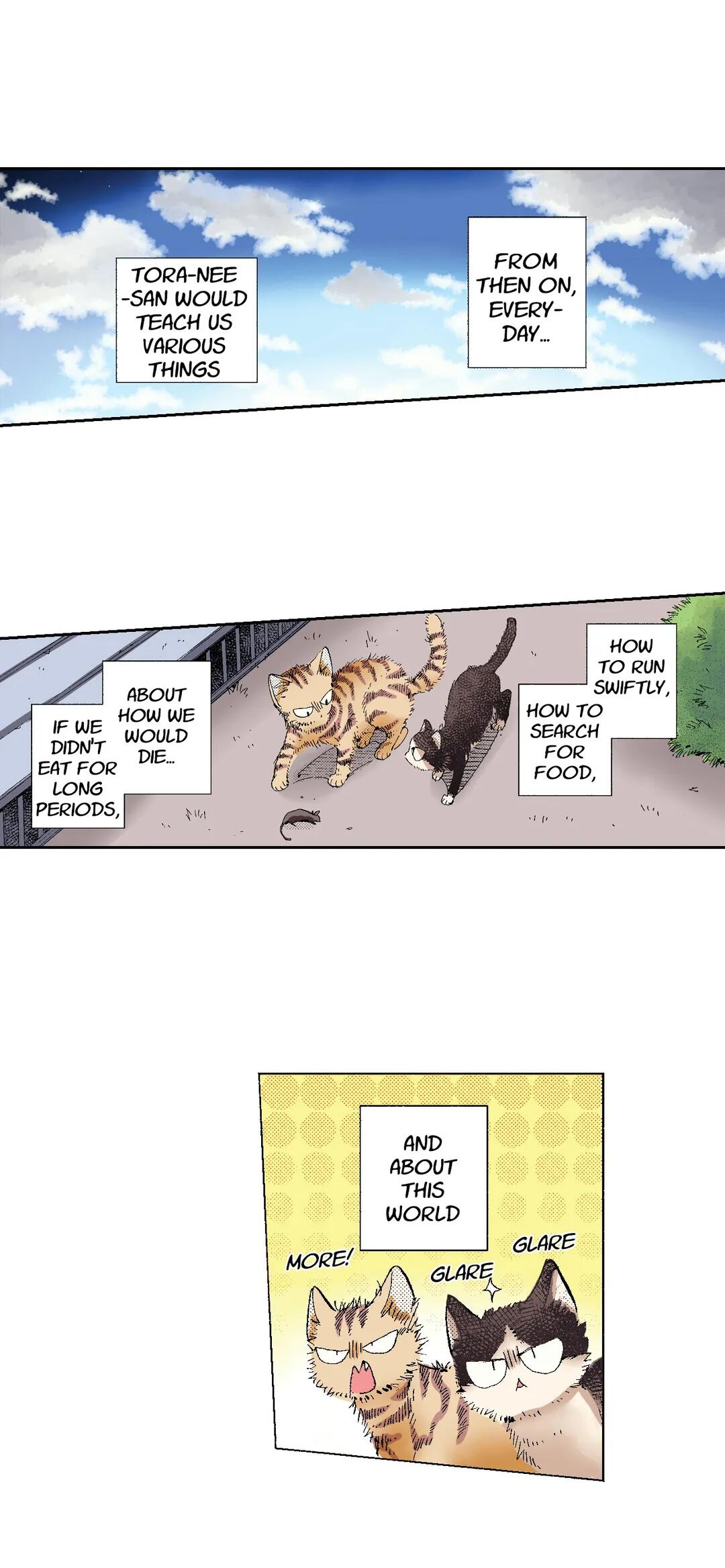 Page 26 of Chapter 49