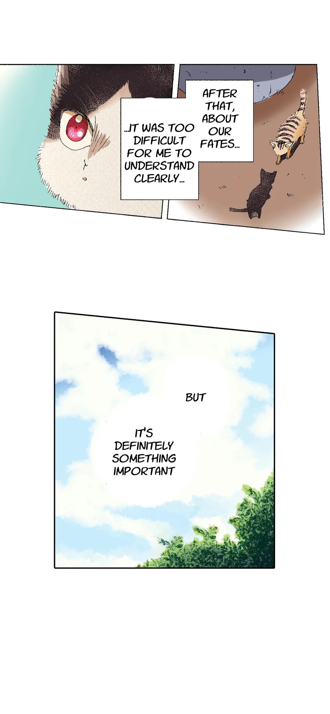 Page 27 of Chapter 49
