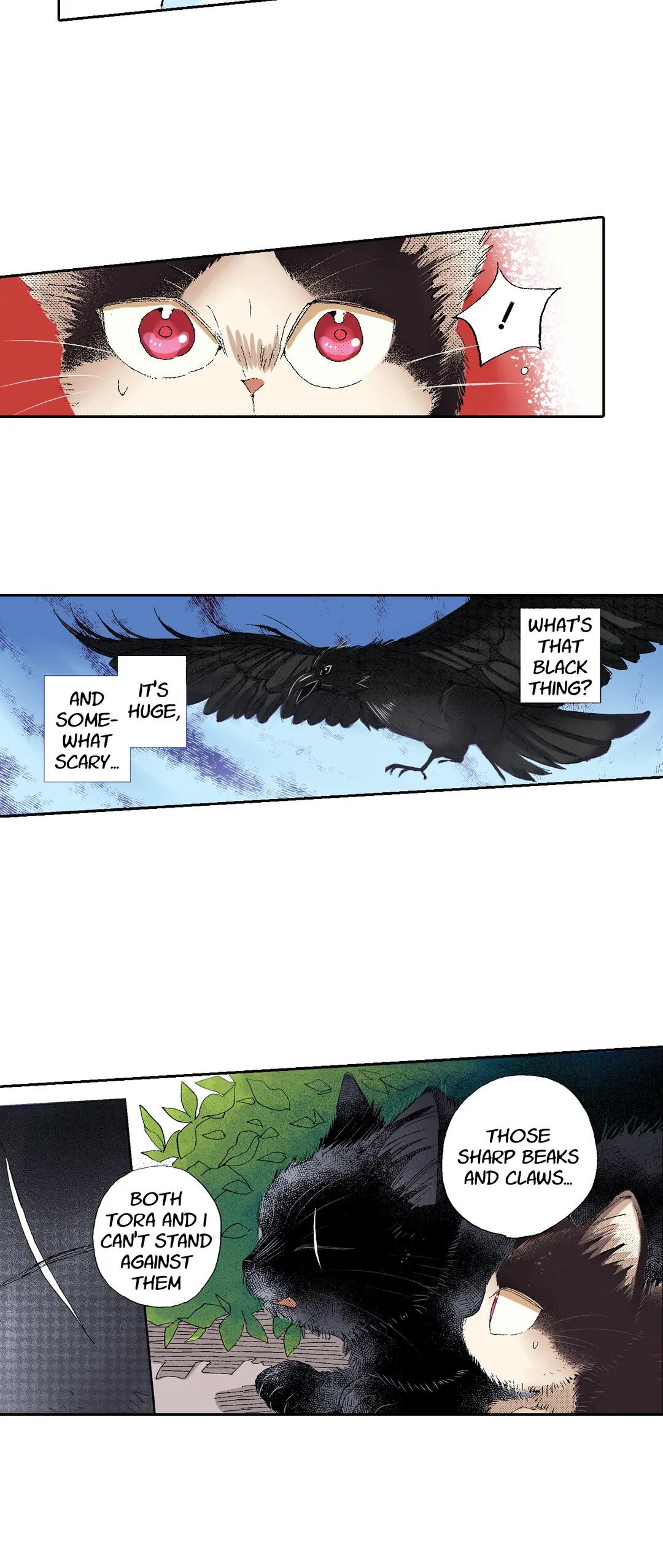 Page 5 of Chapter 50