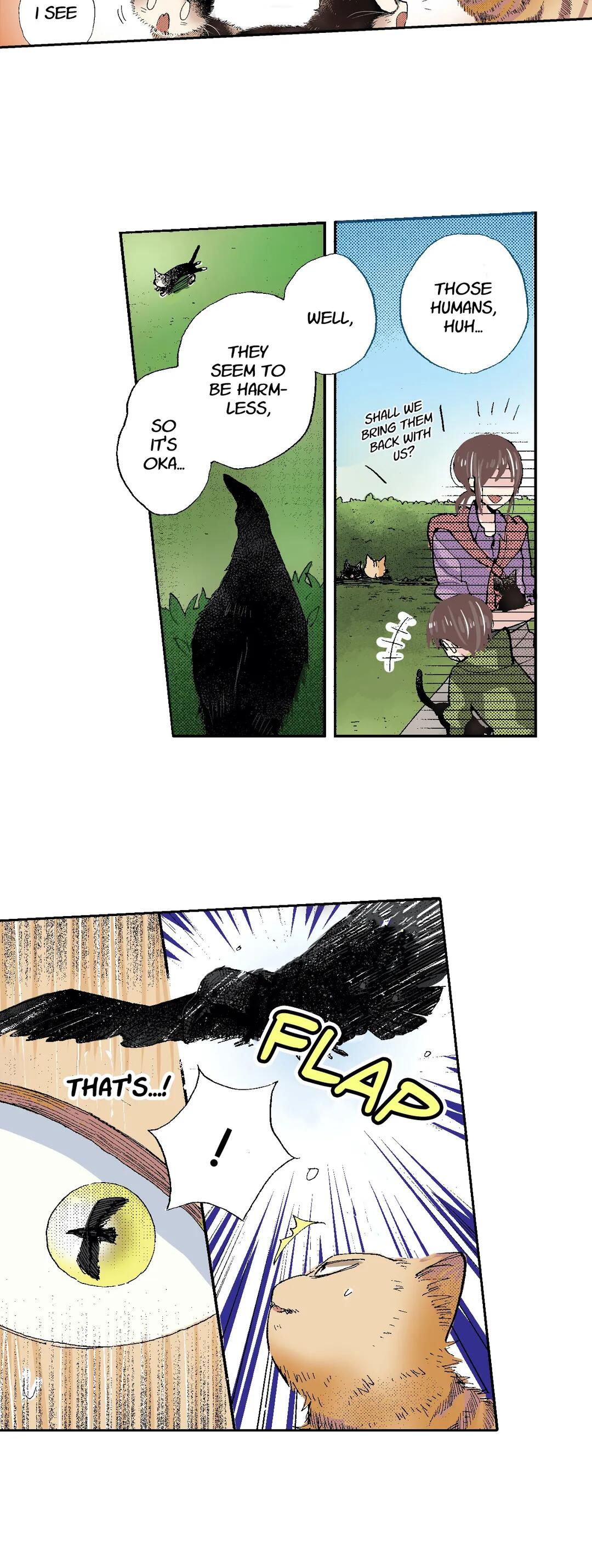 Page 11 of Chapter 50