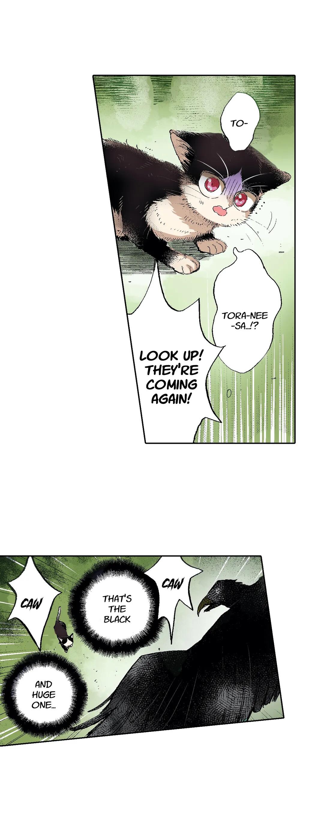 Page 14 of Chapter 50