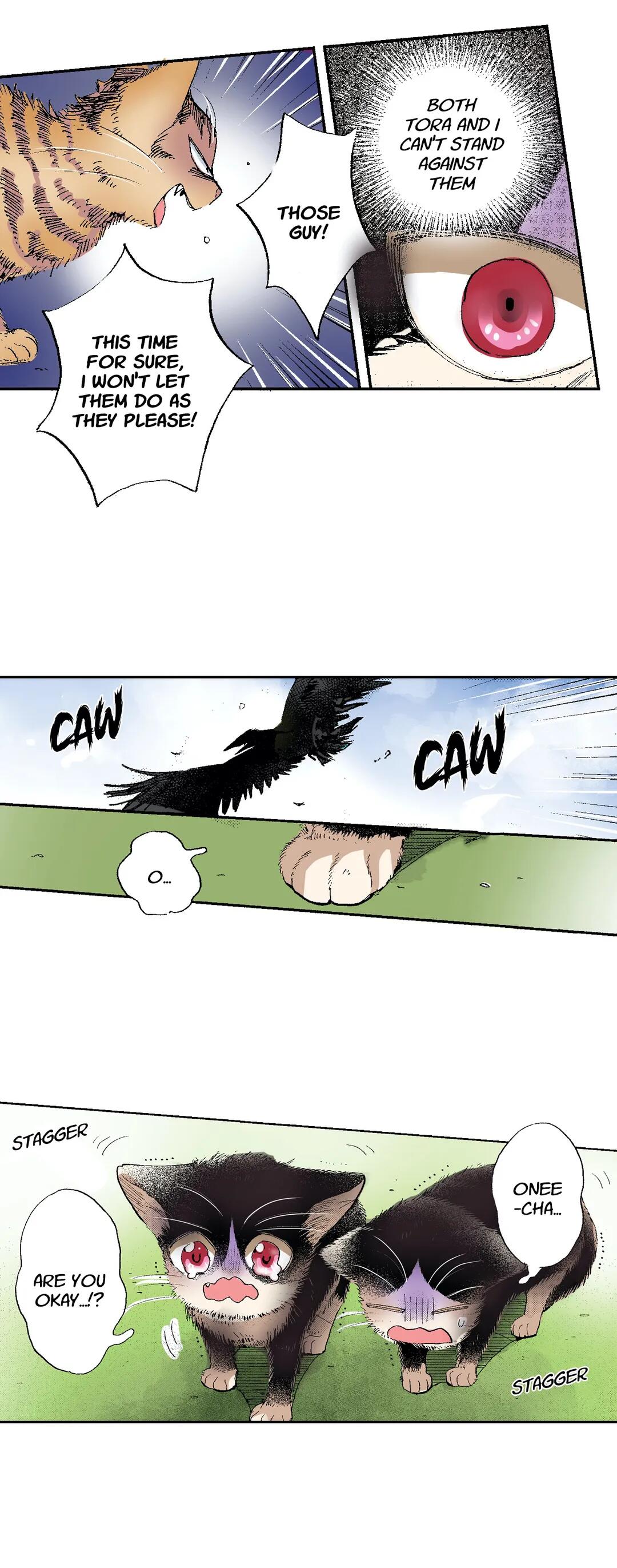 Page 15 of Chapter 50