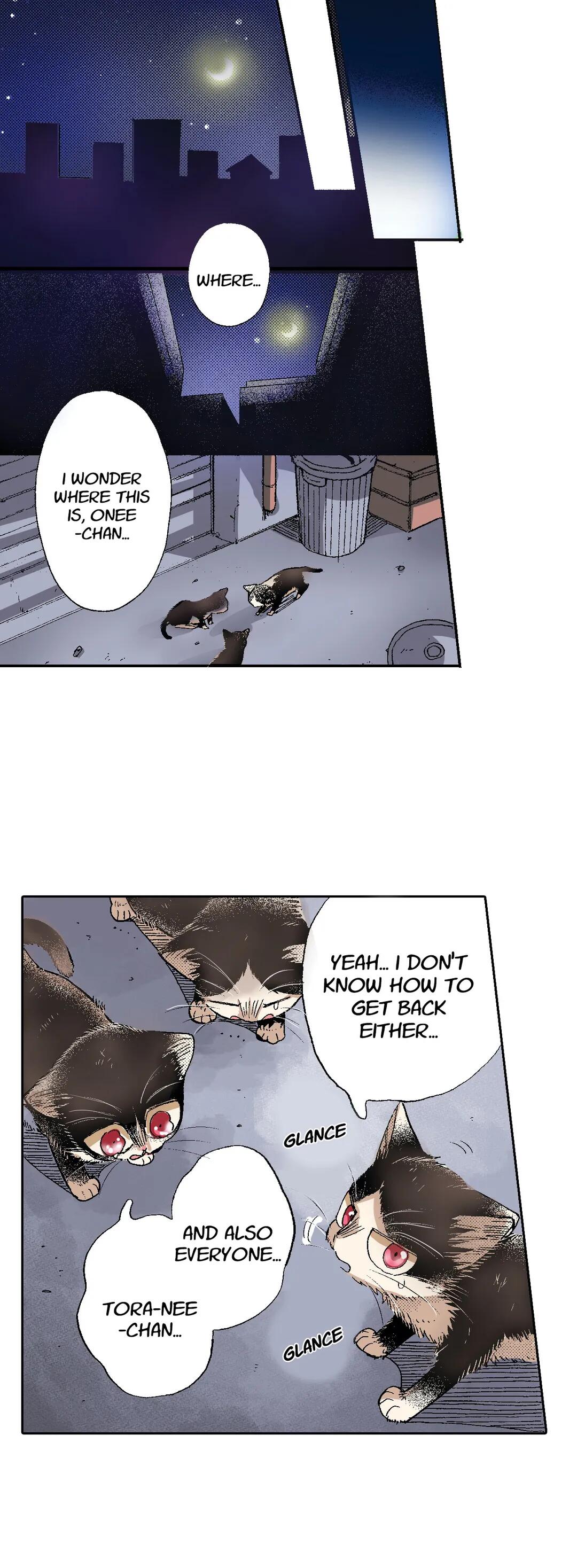 Page 21 of Chapter 50