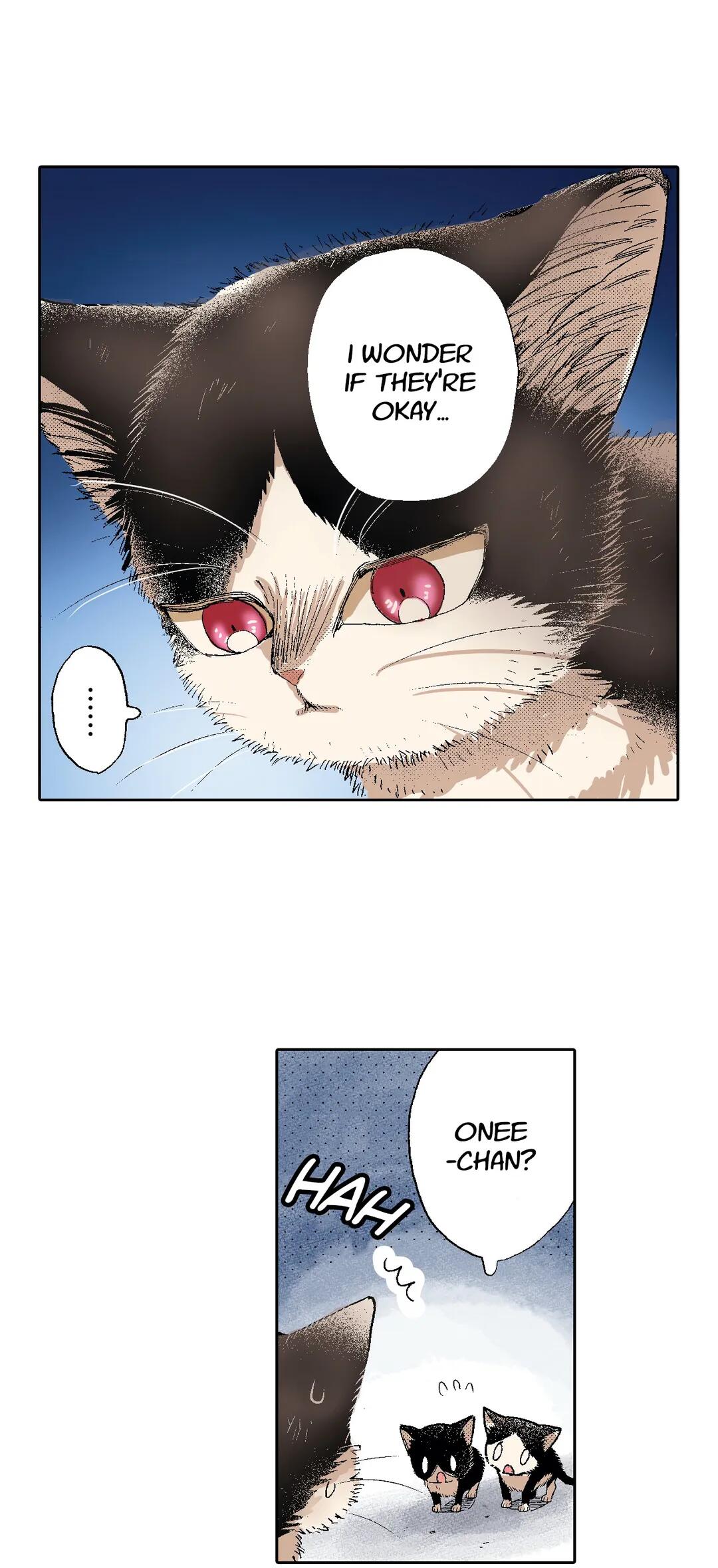 Page 22 of Chapter 50
