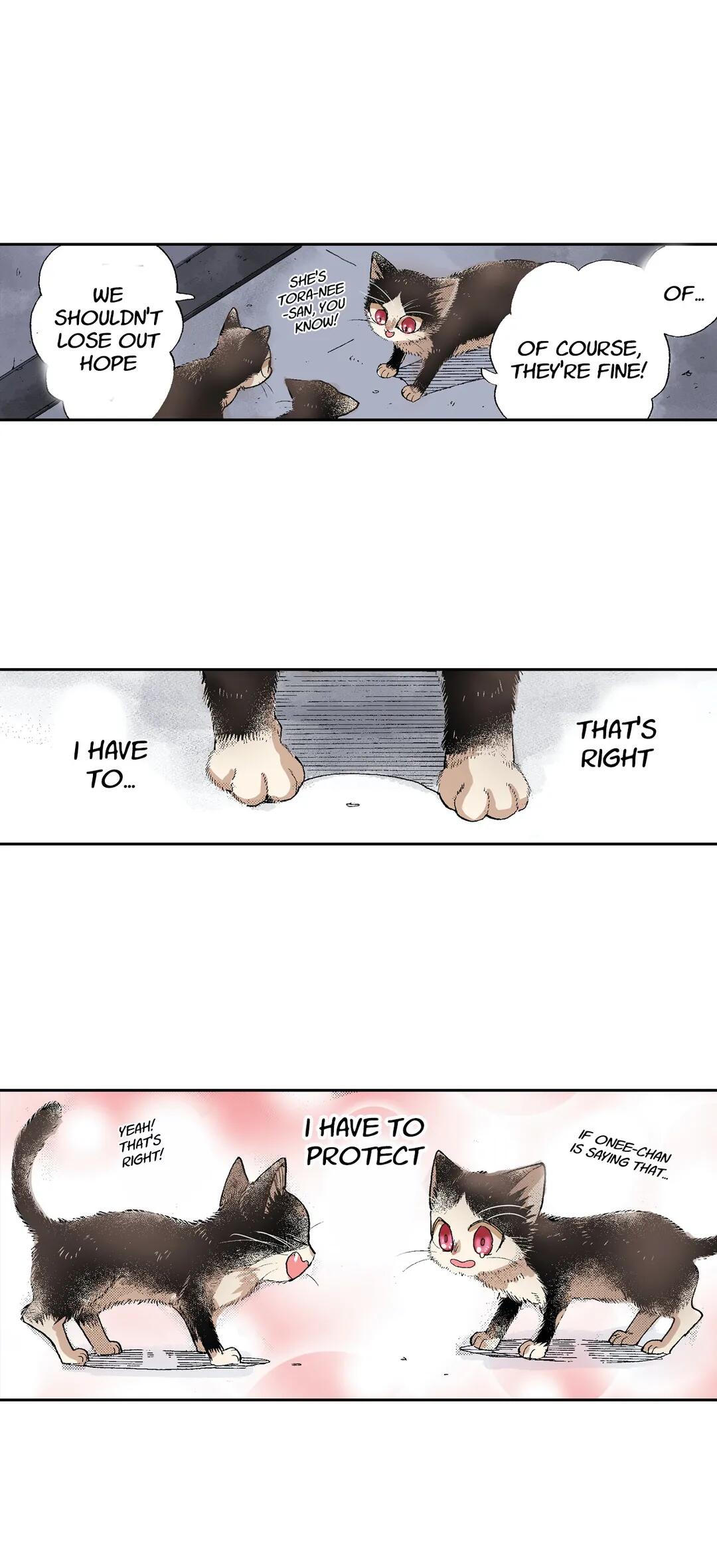 Page 23 of Chapter 50