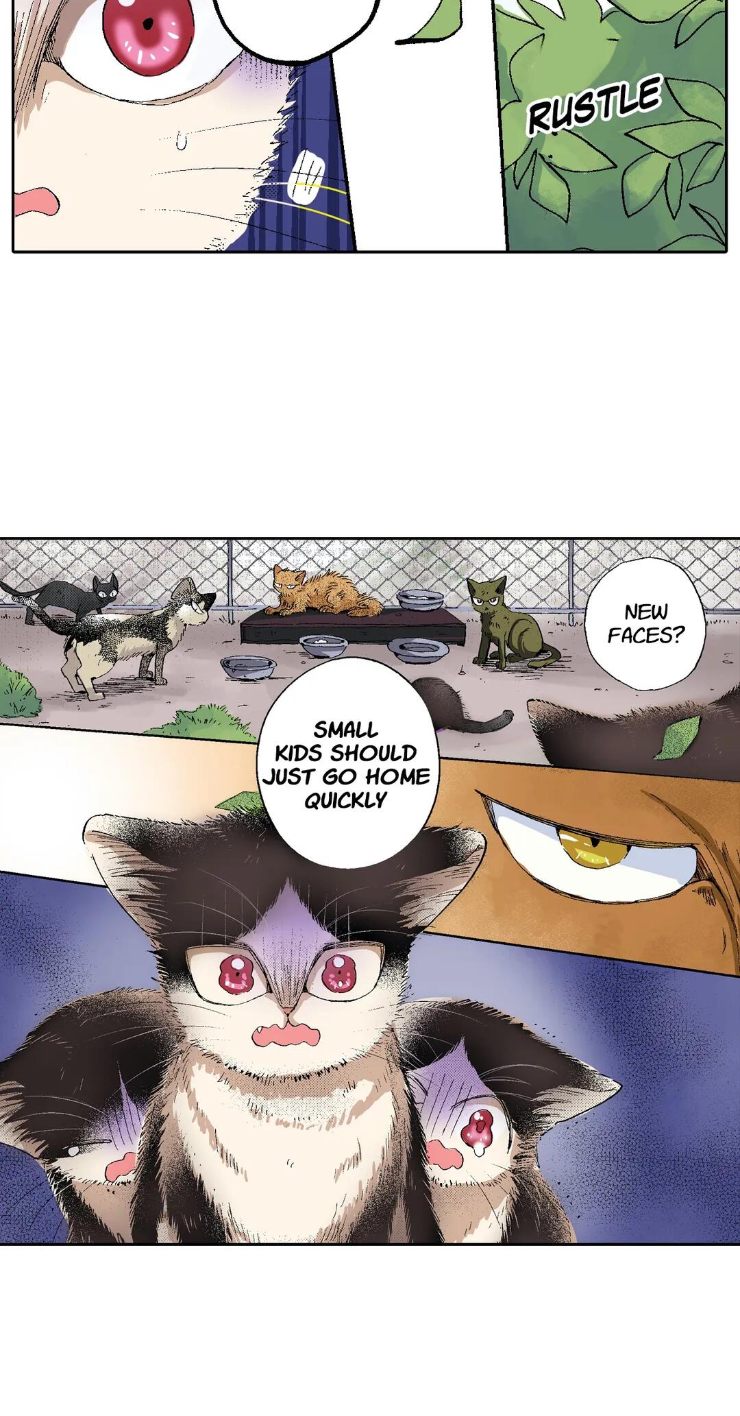 Page 29 of Chapter 50