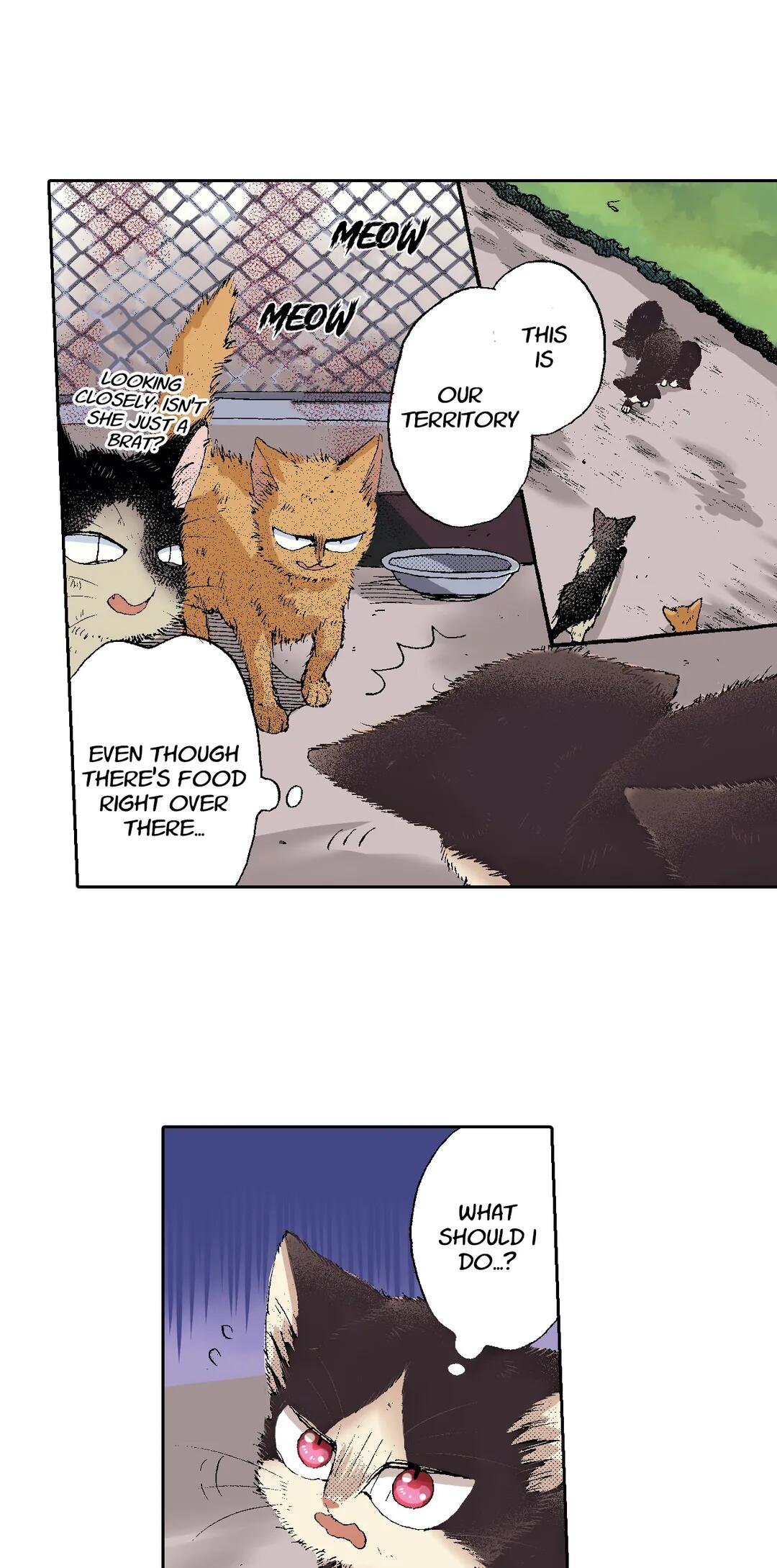 Page 2 of Chapter 51