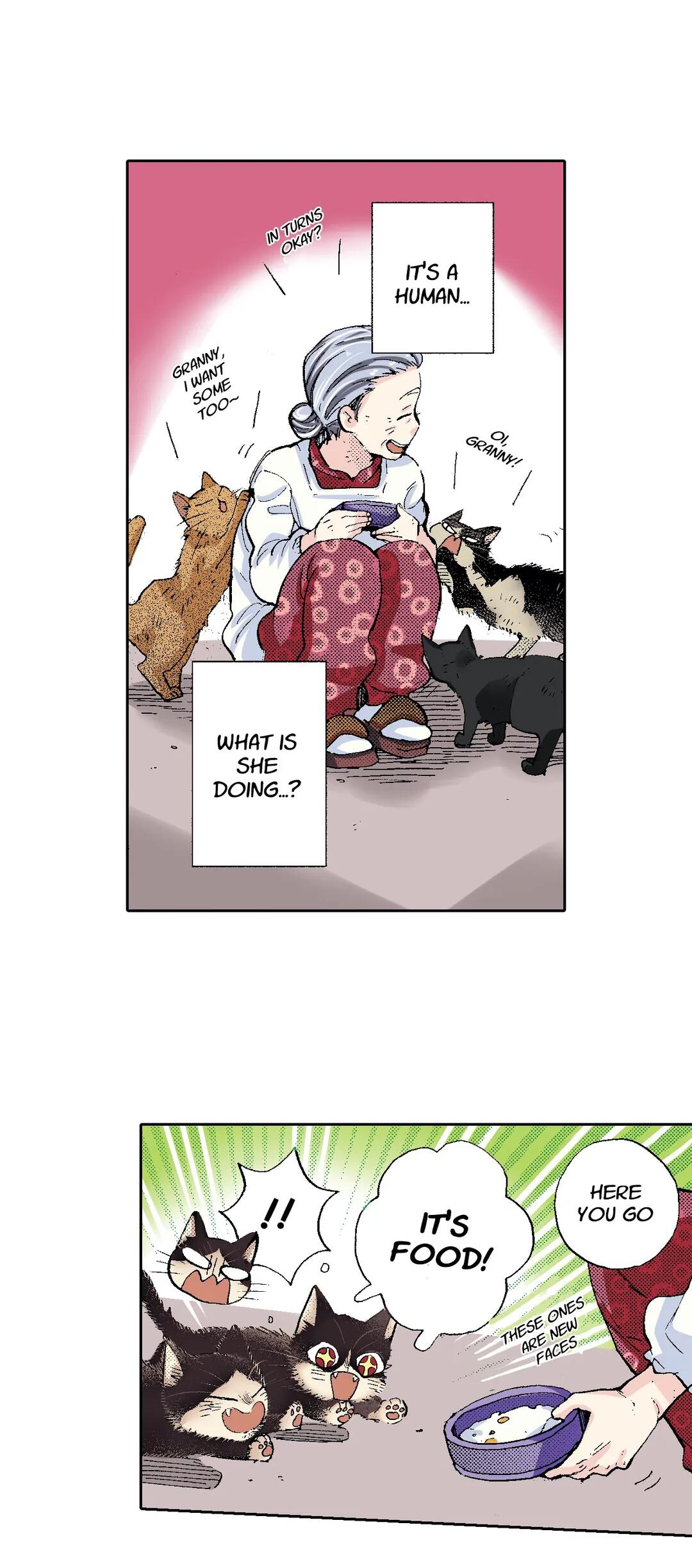 Page 6 of Chapter 51