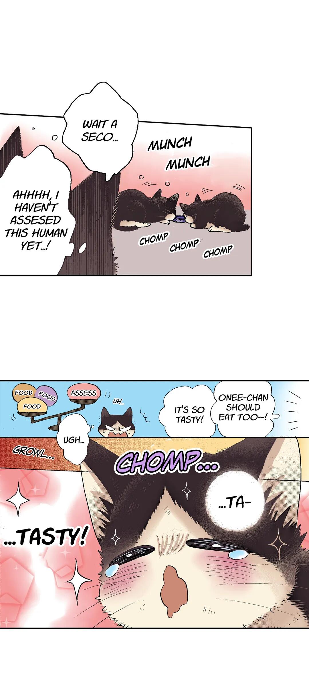 Page 7 of Chapter 51