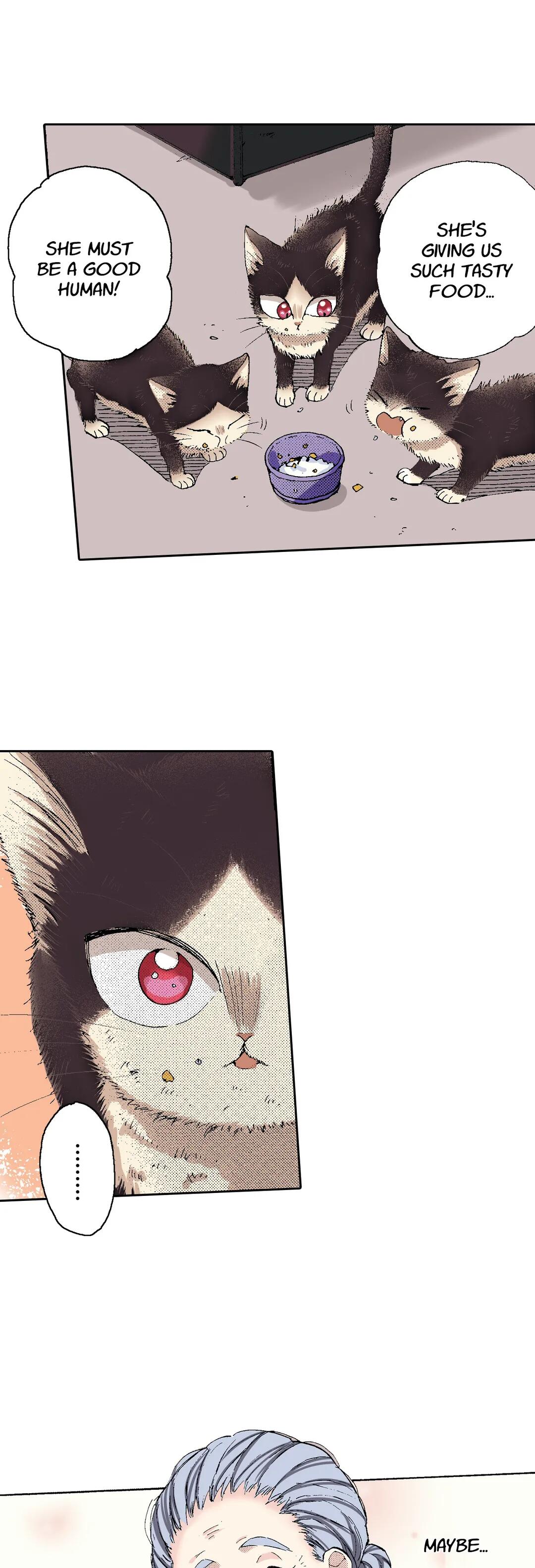 Page 8 of Chapter 51