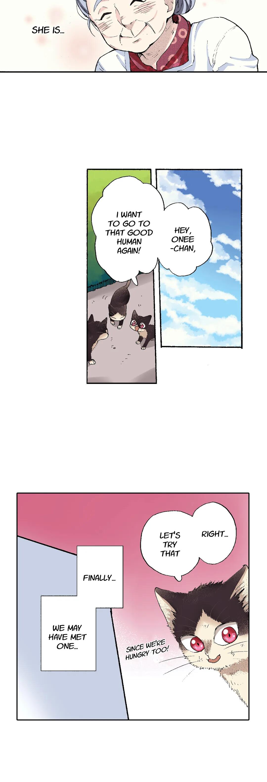 Page 9 of Chapter 51