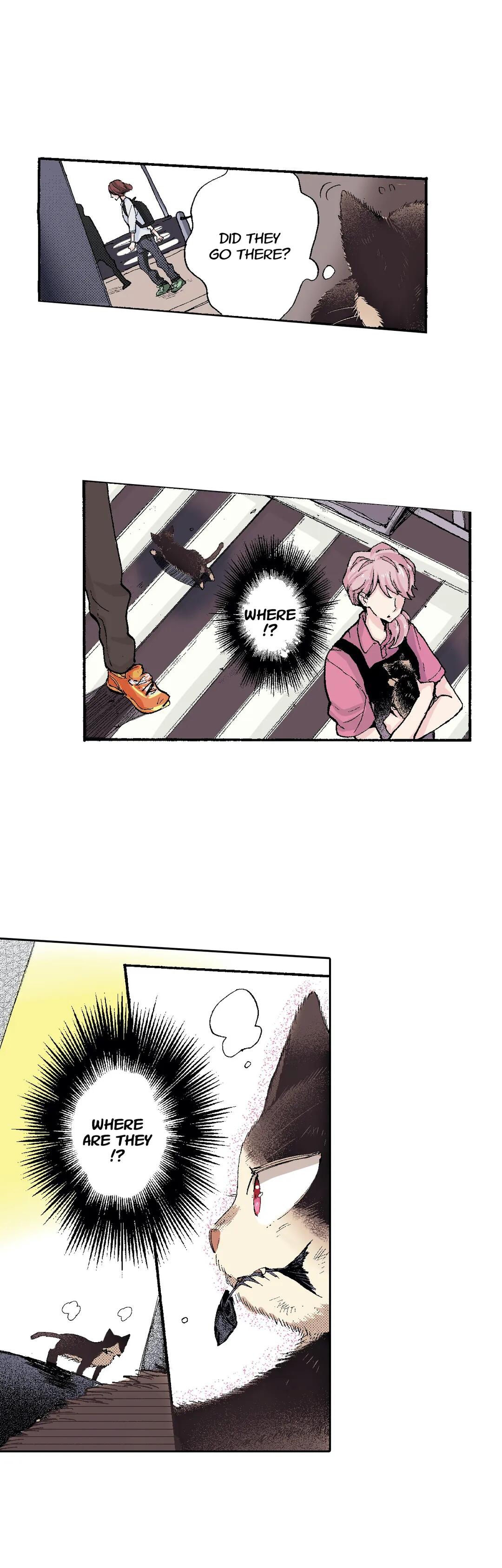 Page 17 of Chapter 51