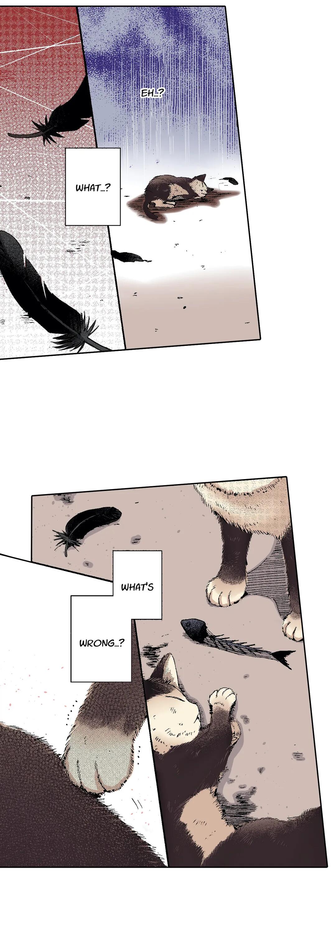Page 19 of Chapter 51