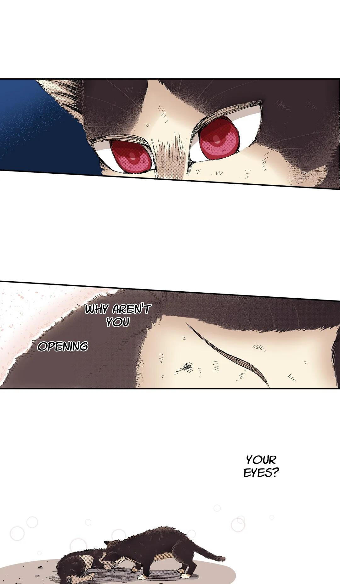 Page 20 of Chapter 51