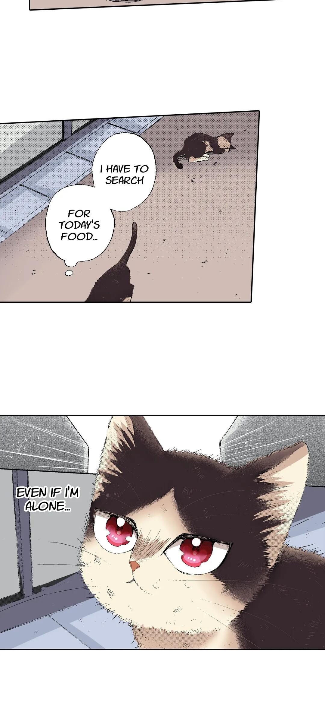 Page 8 of Chapter 52