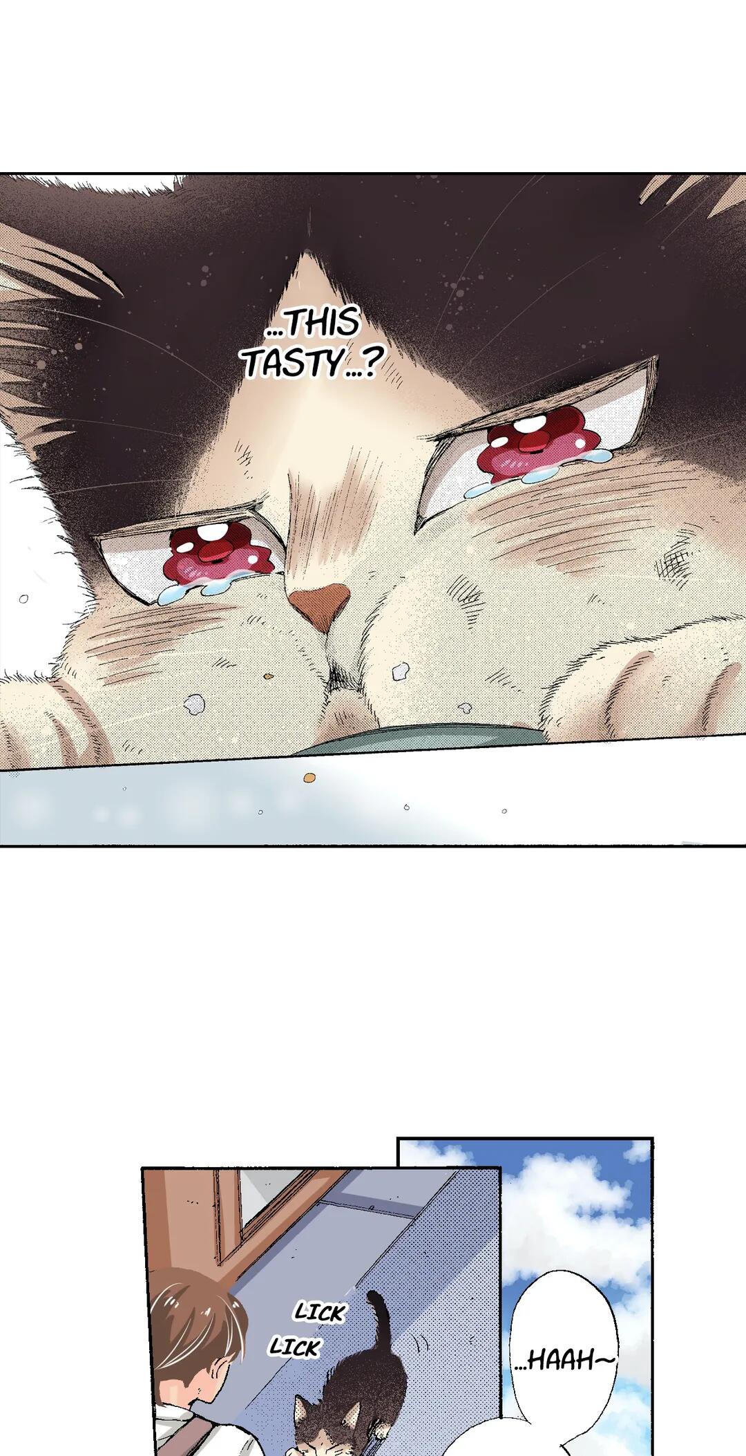 Page 13 of Chapter 52