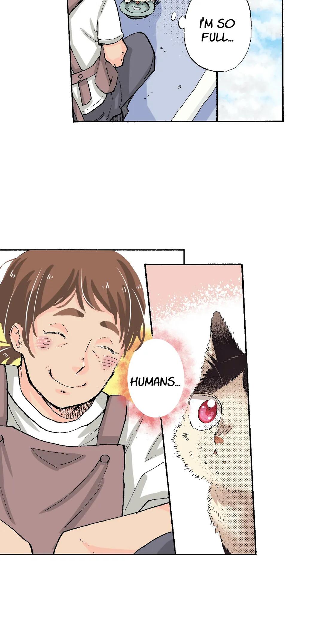 Page 14 of Chapter 52