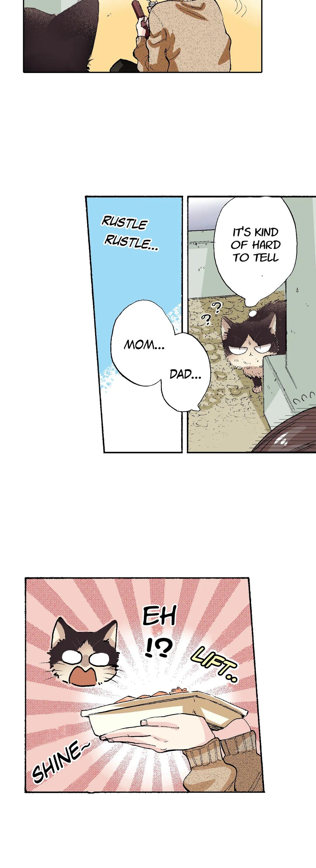 Page 24 of Chapter 52