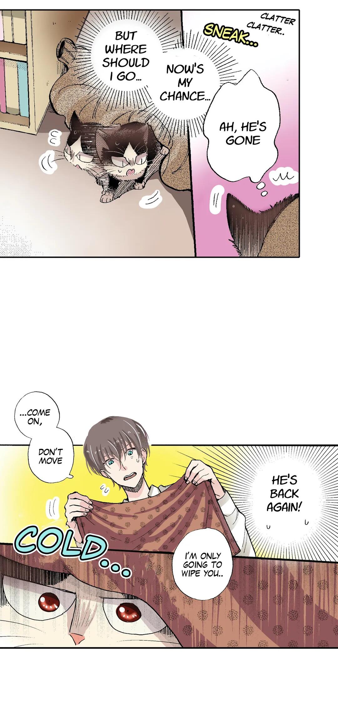 Page 5 of Chapter 53