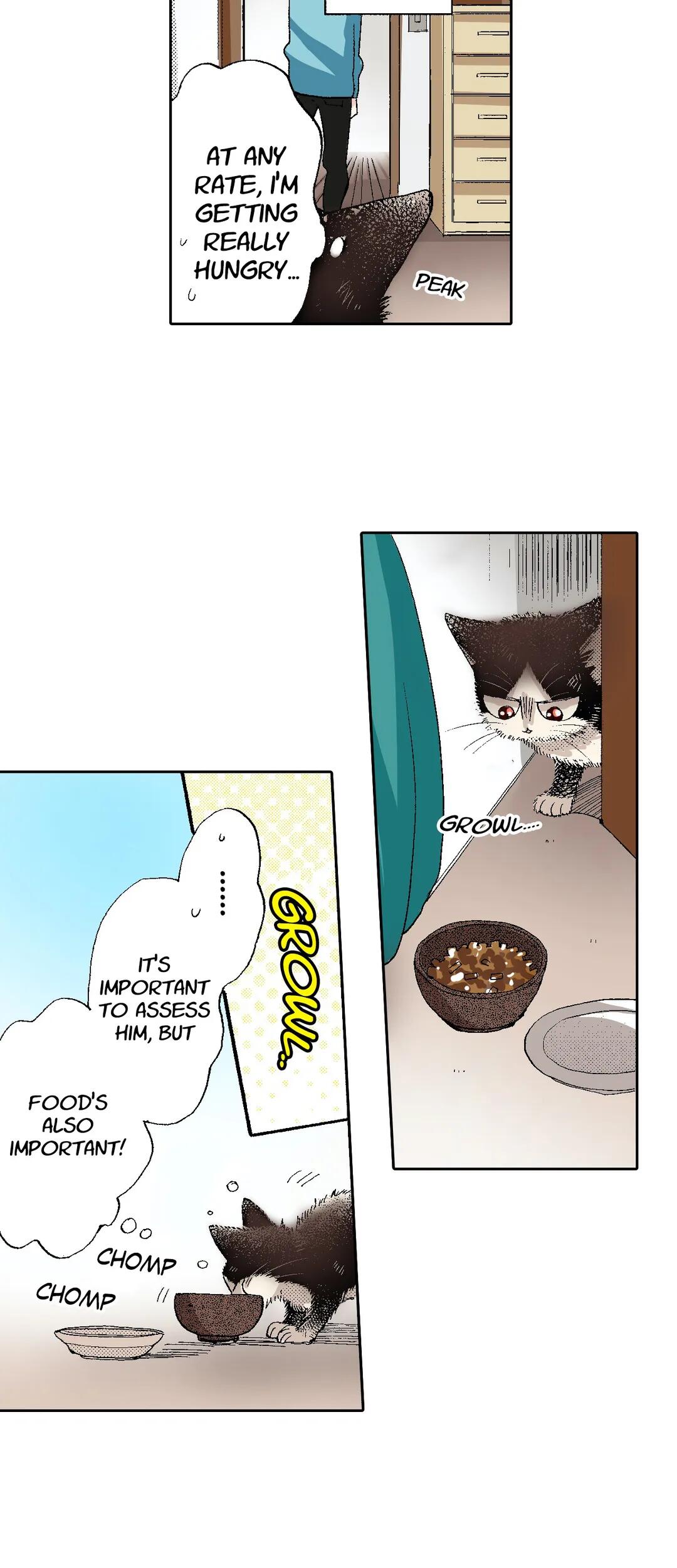 Page 11 of Chapter 53